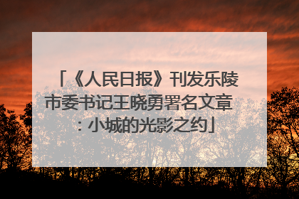 《人民日报》刊发乐陵市委书记王晓勇署名文章：小城的光影之约