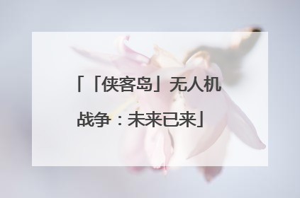 「侠客岛」无人机战争：未来已来