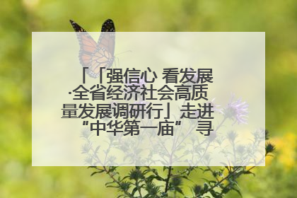 「强信心 看发展·全省经济社会高质量发展调研行」走进“中华第一庙” 寻根伏羲 祭祖龙城