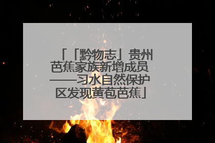 「黔物志」贵州芭蕉家族新增成员——习水自然保护区发现黄苞芭蕉