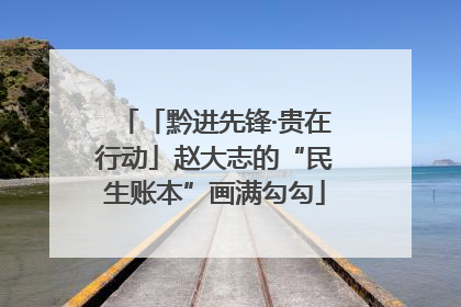 「黔进先锋·贵在行动」赵大志的“民生账本”画满勾勾