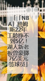 「NBA」詹姆斯22年工龄挣不到5亿！湖人新老板曾豪掷7亿美元签球员