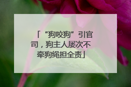 “狗咬狗”引官司，狗主人屡次不牵狗绳担全责