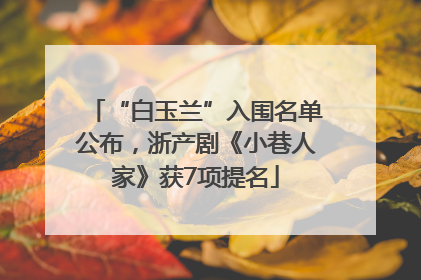 “白玉兰”入围名单公布，浙产剧《小巷人家》获7项提名