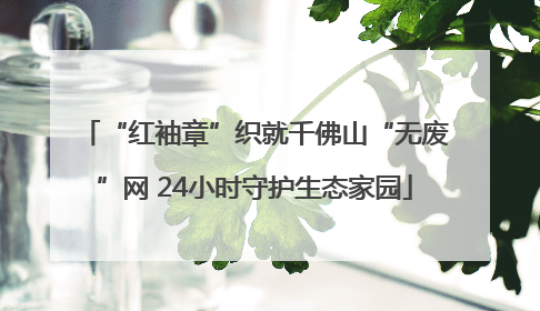 “红袖章”织就千佛山“无废”网 24小时守护生态家园