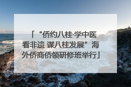 “侨约八桂·学中医 看非遗 谋八桂发展”海外侨商侨领研修班举行