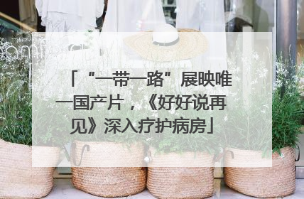 “一带一路”展映唯一国产片，《好好说再见》深入疗护病房