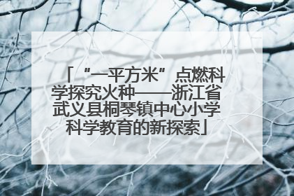 “一平方米”点燃科学探究火种——浙江省武义县桐琴镇中心小学科学教育的新探索