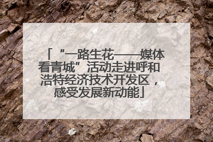 “一路生花——媒体看青城”活动走进呼和浩特经济技术开发区，感受发展新动能