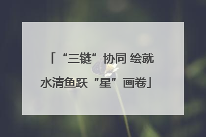 “三链”协同 绘就水清鱼跃“星”画卷