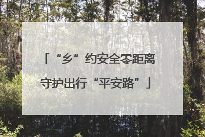 “乡”约安全零距离 守护出行“平安路”
