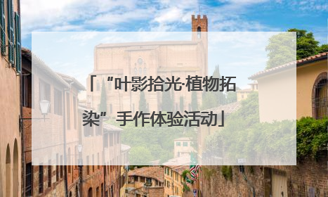 “叶影拾光·植物拓染”手作体验活动
