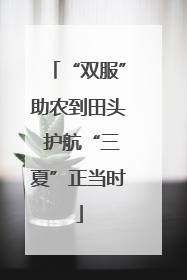 “双服”助农到田头 护航“三夏”正当时