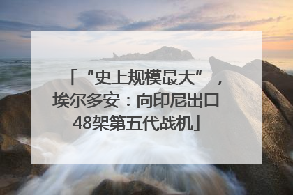 “史上规模最大”，埃尔多安：向印尼出口48架第五代战机