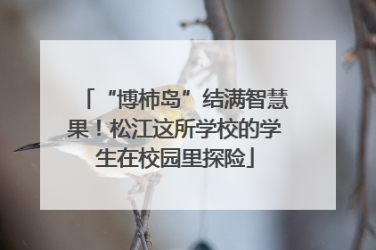 “博柿岛”结满智慧果！松江这所学校的学生在校园里探险