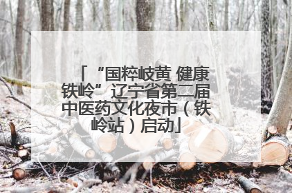 “国粹岐黄 健康铁岭”辽宁省第二届中医药文化夜市（铁岭站）启动