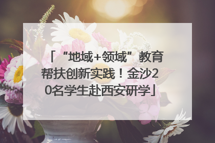“地域+领域”教育帮扶创新实践！金沙20名学生赴西安研学