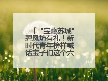 “宝藏苏城”碧凤坊有礼！新时代青年榜样喊话宝子们这个六一来平江街道