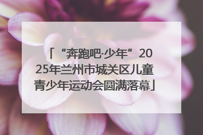 “奔跑吧·少年”2025年兰州市城关区儿童青少年运动会圆满落幕