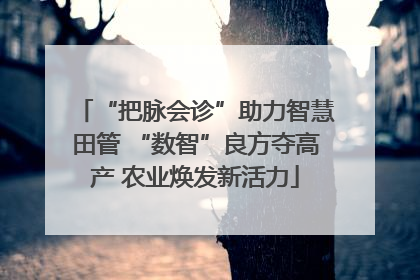 “把脉会诊”助力智慧田管 “数智”良方夺高产 农业焕发新活力
