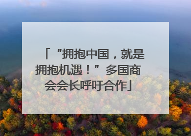 “拥抱中国，就是拥抱机遇！”多国商会会长呼吁合作