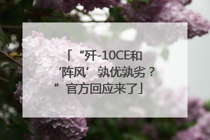 “歼-10CE和‘阵风’孰优孰劣？”官方回应来了