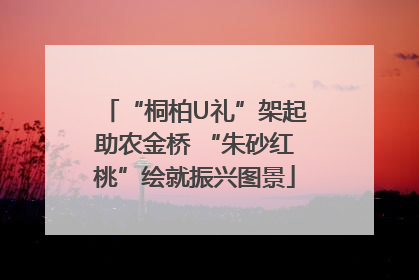 “桐柏U礼”架起助农金桥 “朱砂红桃”绘就振兴图景