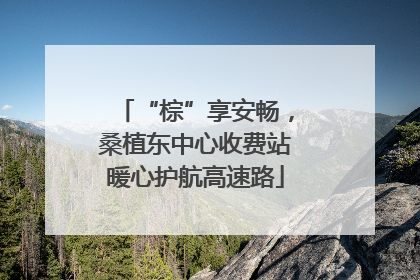 “棕”享安畅，桑植东中心收费站暖心护航高速路