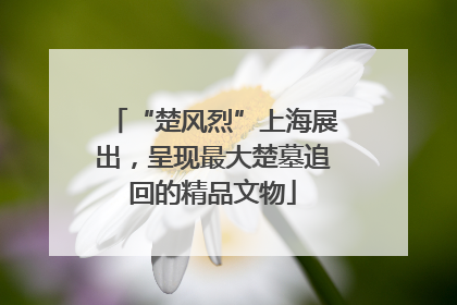 “楚风烈”上海展出，呈现最大楚墓追回的精品文物