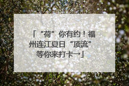 “荷”你有约！福州连江夏日“顶流”等你来打卡→