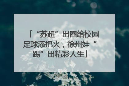 “苏超”出圈给校园足球添把火，徐州娃“踢”出精彩人生