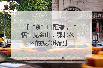 “茶”山醒绿，“悟”见金山：鄂北老区的振兴密码
