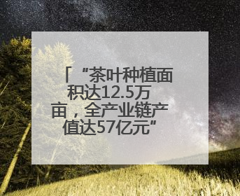 “茶叶种植面积达12.5万亩，全产业链产值达57亿元” 浙江武义茶产业全链发展“加速度”