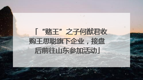 “赌王”之子何猷君收购王思聪旗下企业，接盘后前往山东参加活动