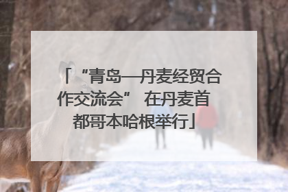 “青岛—丹麦经贸合作交流会” 在丹麦首都哥本哈根举行