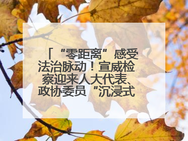 “零距离”感受法治脉动！宣威检察迎来人大代表、政协委员“沉浸式”体验