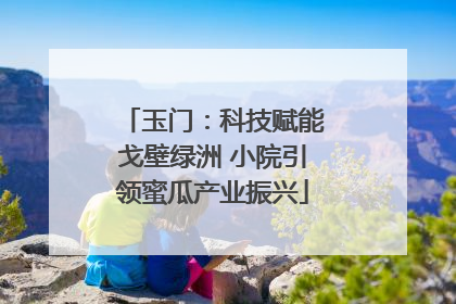 玉门：科技赋能戈壁绿洲 小院引领蜜瓜产业振兴