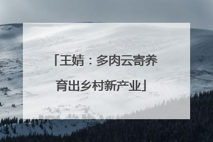 王婧：多肉云寄养 育出乡村新产业