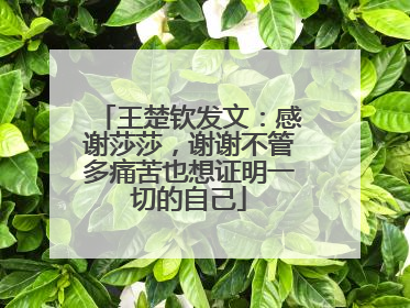 王楚钦发文：感谢莎莎，谢谢不管多痛苦也想证明一切的自己