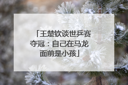 王楚钦谈世乒赛夺冠：自己在马龙面前是小孩