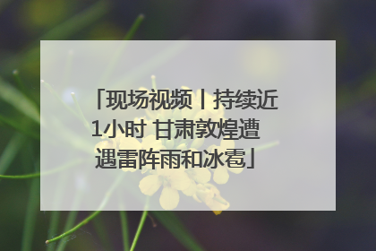 现场视频丨持续近1小时 甘肃敦煌遭遇雷阵雨和冰雹