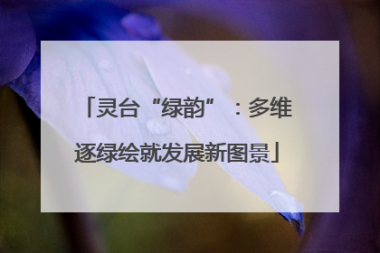 灵台“绿韵”：多维逐绿绘就发展新图景