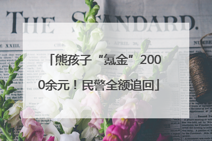 熊孩子“氪金”2000余元！民警全额追回