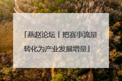 燕赵论坛丨把赛事流量转化为产业发展增量
