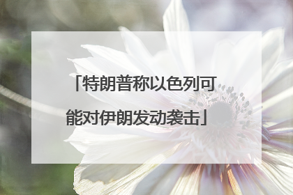 特朗普称以色列可能对伊朗发动袭击
