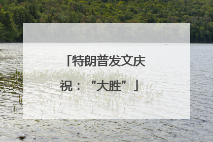 特朗普发文庆祝：“大胜”