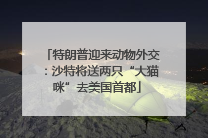 特朗普迎来动物外交：沙特将送两只“大猫咪”去美国首都