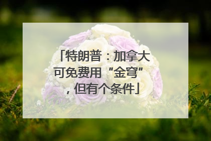 特朗普：加拿大可免费用“金穹”，但有个条件