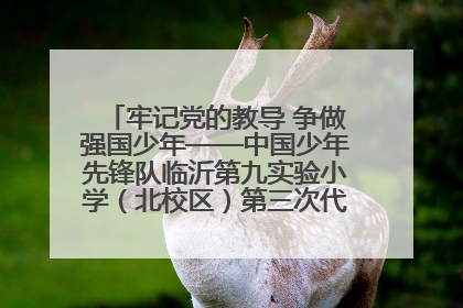 牢记党的教导 争做强国少年——中国少年先锋队临沂第九实验小学（北校区）第三次代表大会胜利召开