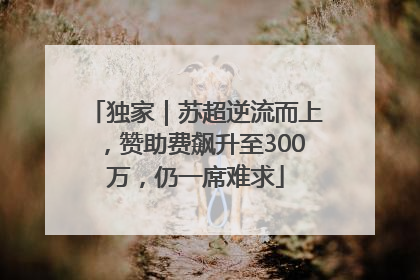 独家｜苏超逆流而上，赞助费飙升至300万，仍一席难求